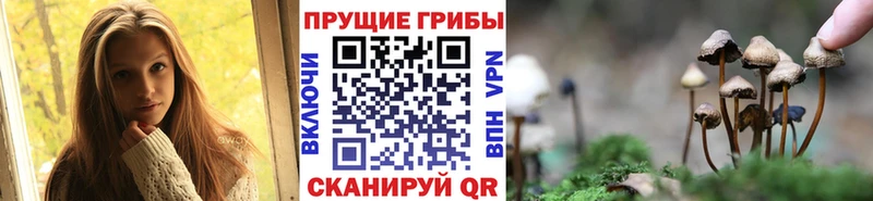 Галлюциногенные грибы мицелий купить сайты Ардатов